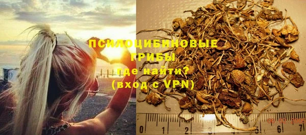 ГАЛЛЮЦИНОГЕННЫЕ ГРИБЫ Алзамай