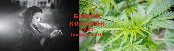 ГАЛЛЮЦИНОГЕННЫЕ ГРИБЫ Алзамай