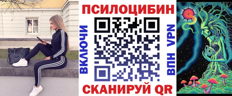 Псилоцибиновые грибы Cubensis  Кизел 
